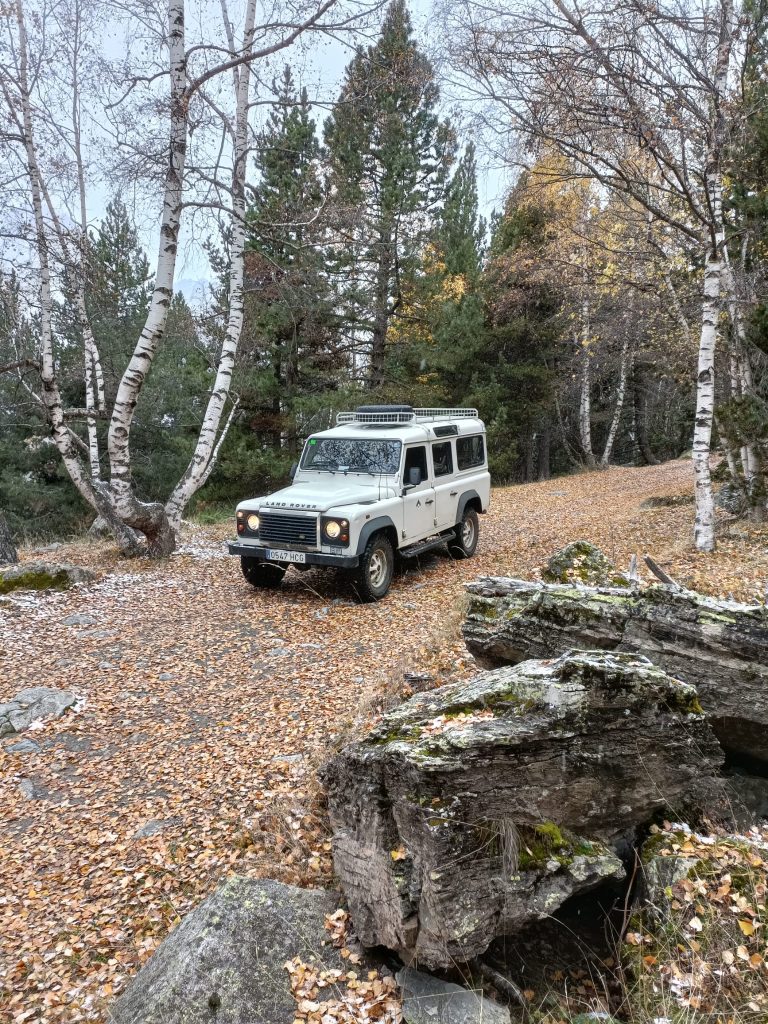 1268ded0-6df7-4bcb-a0d2-1638a8a2c3af