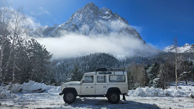 c49bc8e6-e041-46b0-a568-8693d68cec0b